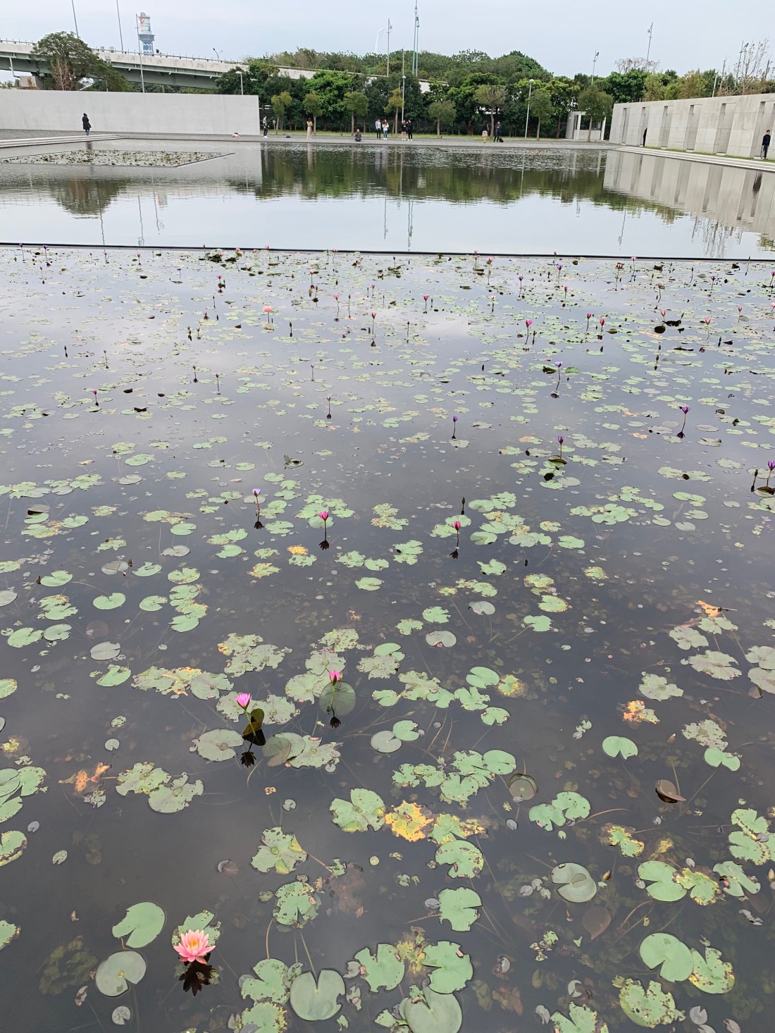 96357F3F-865C-47BC-8964-077175FF246D