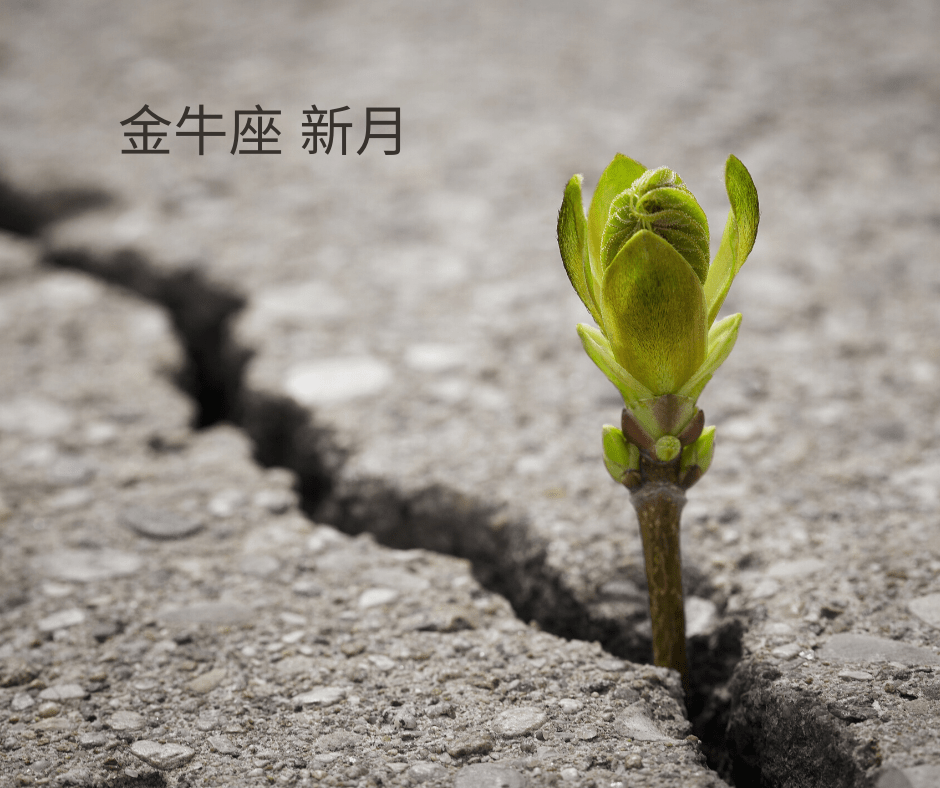 Simple Minimalist Coffee Facebook Post